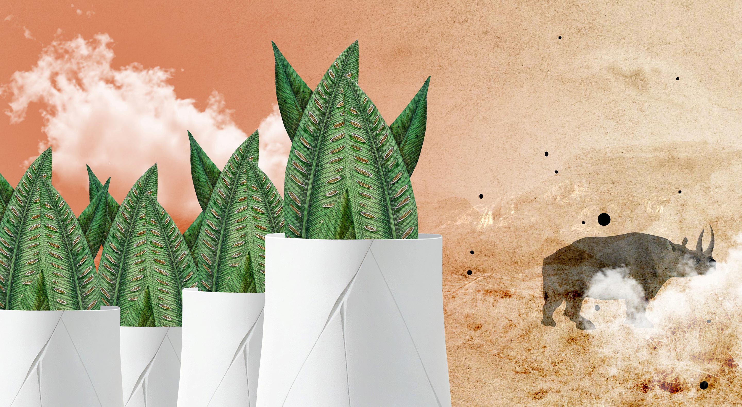 Indigenus - The Story Behind - Maison&Objet - ©Sarah Bouillaud