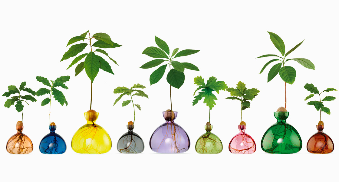 Magazine - Maison&Objet - Success stories - Ilex Studio