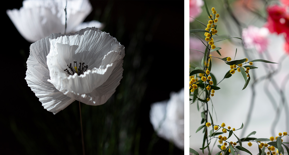 Paris Design Week - William Amor © William Amor