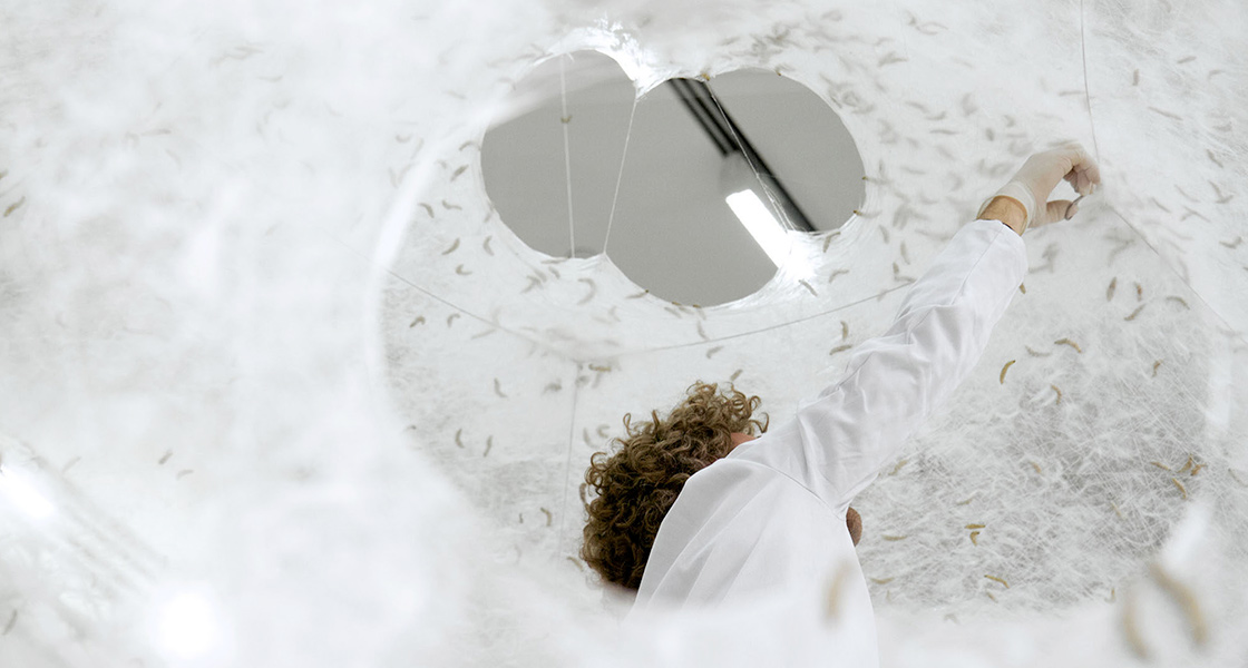 Neri Oxman: material ecology. MoMA – New York